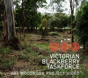 WOODNOOK PROJECT VIDEO