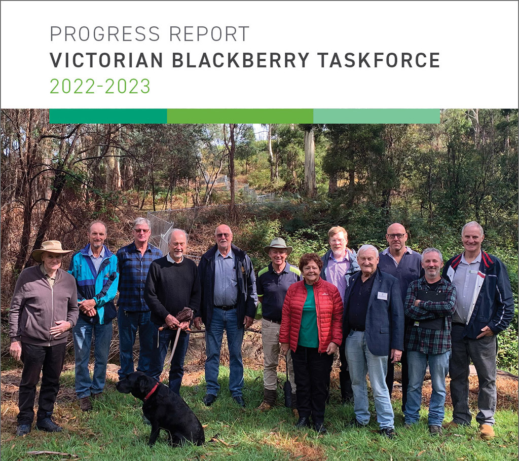 cover image of VBT Progress Report 2023