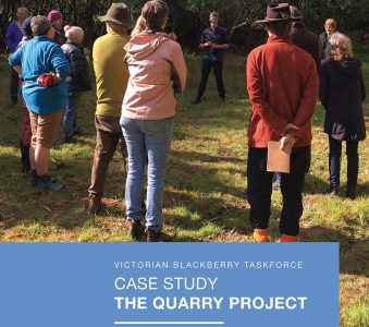 THE QUARRY PROJECT